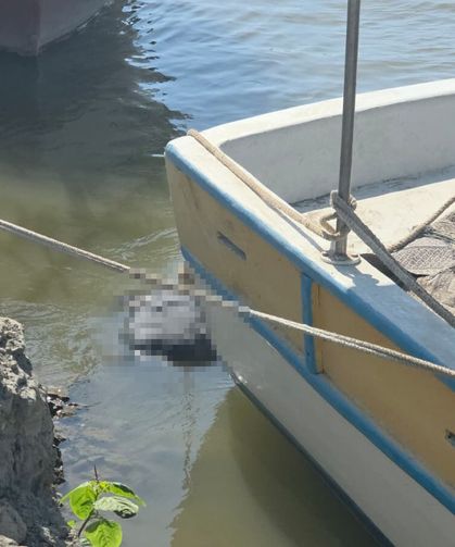 Denizde erkek cesedi bulundu
