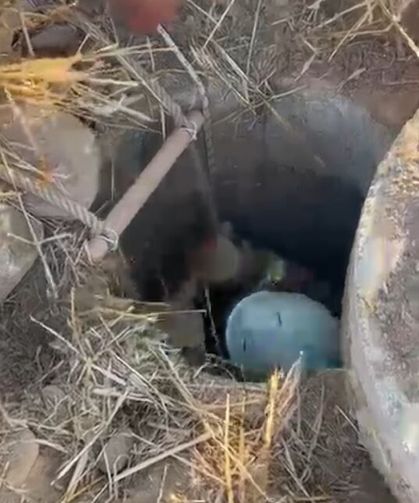 Kuyuya düşen koyunlar kurtarıldı