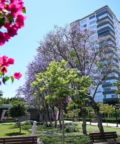 Mersin yaza hazır