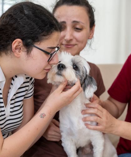 Mersin'de bin 927 can dost yeni yuvasına kavuştu