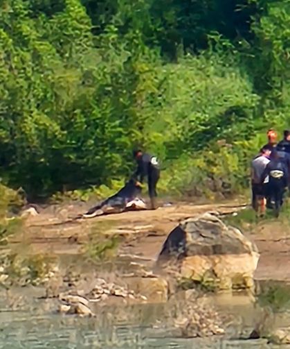 Serinlemek için girdiği çayda kaybolan Ömer'in cansız bedenine ulaşıldı