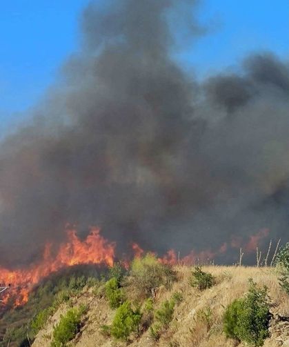 Alanya'da orman yangını/ Ek fotoğraf (2)