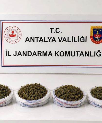 Alanya'da uyuşturucu operasyonu
