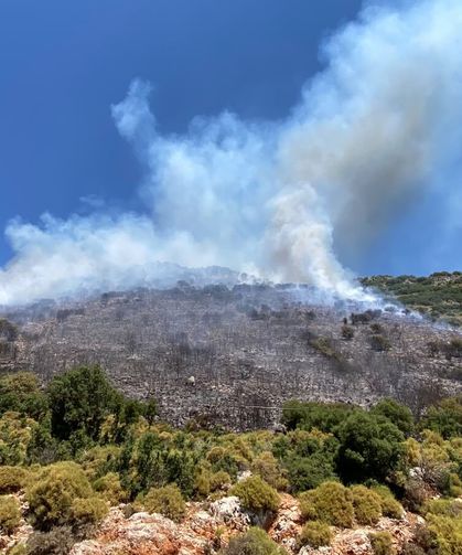 Antalya'da orman yangını / Ek fotoğraflar