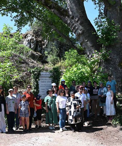 Kemer'de lavanta turizmi başlıyor