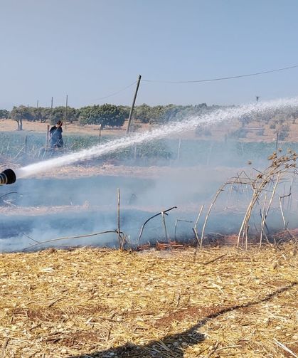 Reyhanlı'da anız yangını söndürüldü