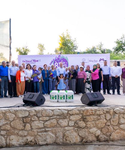 Silifke'de renkli lavanta hasadı