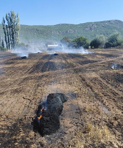 Yangında 20 dönüm zarar gördü