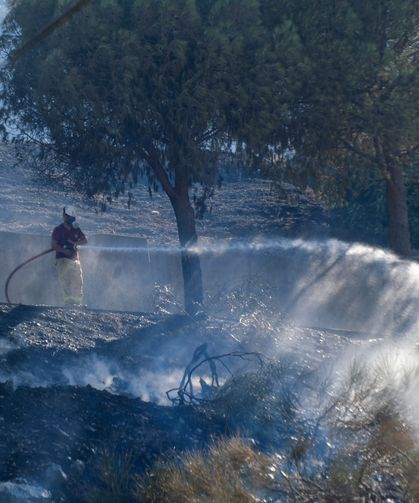Antalya'nın 2 ilçesinde orman yangını/Ek fotoğraflar