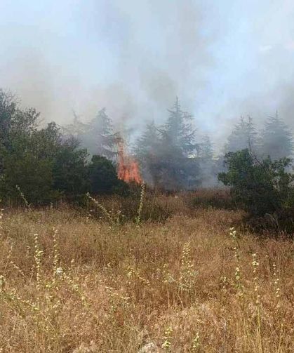 Isparta'da orman yangını büyümeden kontrol altına alındı