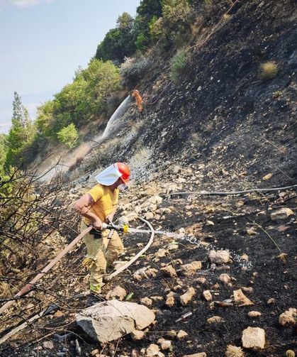Kahramanmaraş'ta çıkan orman yangını söndürüldü