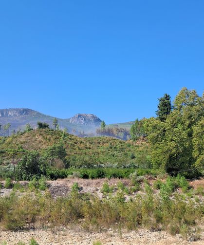 Antalya Serik'teki orman yangını kısmen kontrol altında (2)
