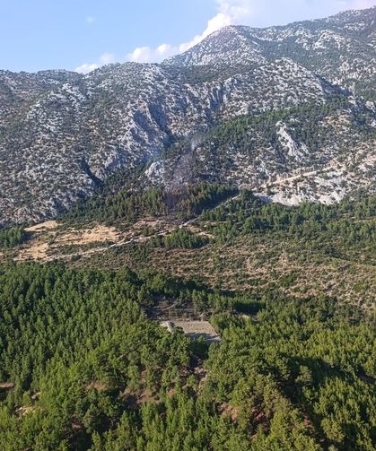 Antalya'da orman yangını (2)
