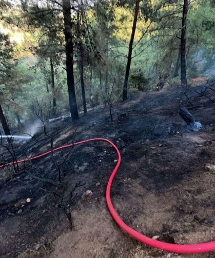 Hatay'da orman yangını