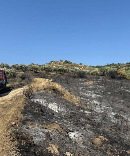 Hatay'da zeytinlik alandaki yangın söndürüldü