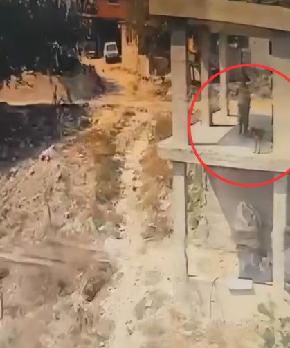 İnşaatta yatan köpeğe sopayla şiddet uyguladı; o anlar kamerada