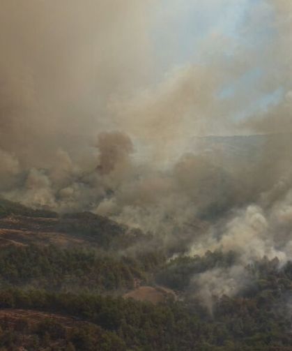 Kozan'da başlayıp, 2 ilçeye daha sıçrayan orman yangını 2'nci gününde (2)