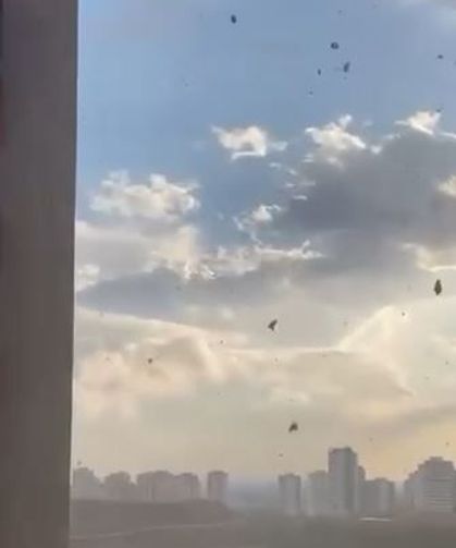Adana'da sağanak sonrası alt geçidi su bastı; otomobilde mahsur kaldılar (2)