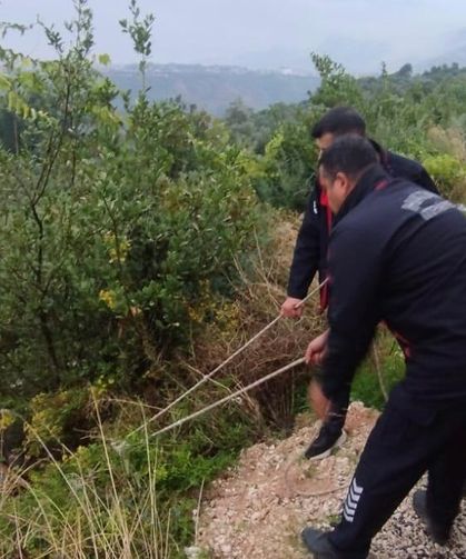 Hatay'da kayalıklardan düşen kişi kurtarıldı