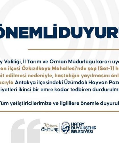 Hatay'da Üzümdalı Hayvan Pazarı, şap hastalığı nedeniyle geçici olarak kapatıldı