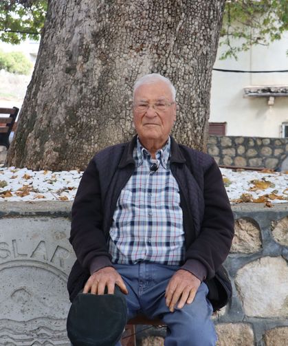 Toroslar'da asırlık çınarın çehresi yenilendi