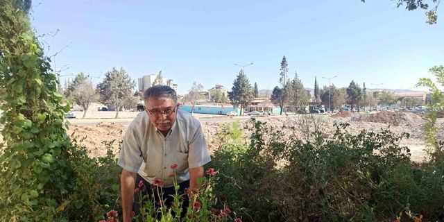 Kahramanmaraş’ta muhtar enkaz halindeki mahalleyi yeşillendirdi