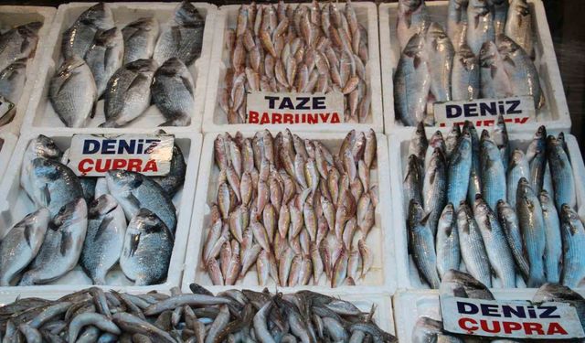 Av yasağının başlamasıyla balık çeşitliliği azalacak, fiyatlar aynı kalacak
