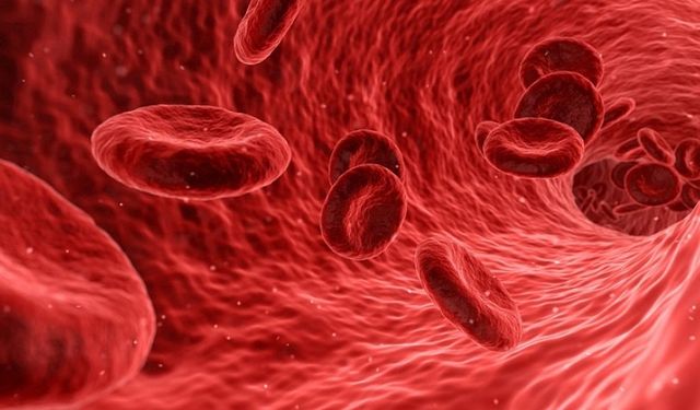A kan grubuna sahip bireylerde 60 yaş altı inme riski %16 daha yüksek çıktı. Genetik yapı etkili olabilir, devamı haberd