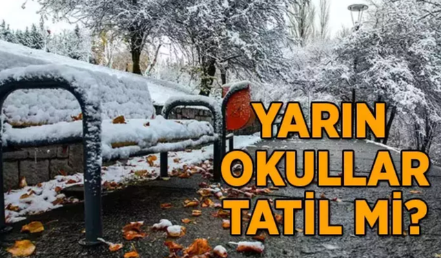 25 Kasım 2024 Kar Tatili Olan İller: Yarın Okullar Tatil Olacak mı?