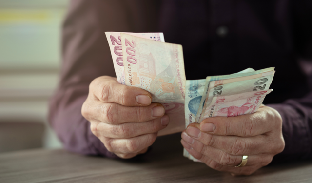2025 Temmuz Memur Maaş Zammı Hesaplama: Enflasyon Farkı ve Toplu Sözleşme Artışıyla Maaşlar Ne Kadar Yükselecek?