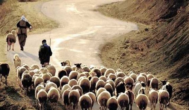 100 Bin TL Maaşla Kimseyi Bulamıyorlar! İşverenler Eleman İçin Seferber Oldu