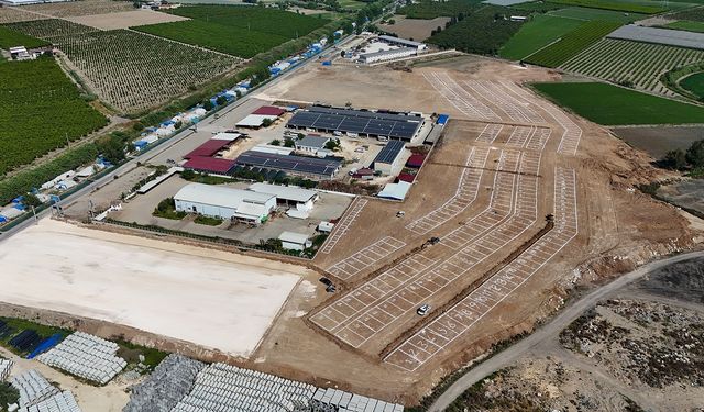 Tarsus’ta kurbanlık satışına tek yer sınırı geldi