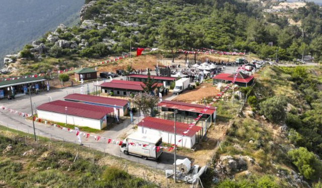 🐾 Mersin’de Patiköy Açıldı: Sokak Hayvanlarına Doğal Cennet!