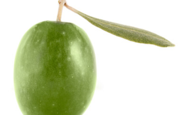 Mersin’de Zeytin Sezonu Ne Zaman Açılır?