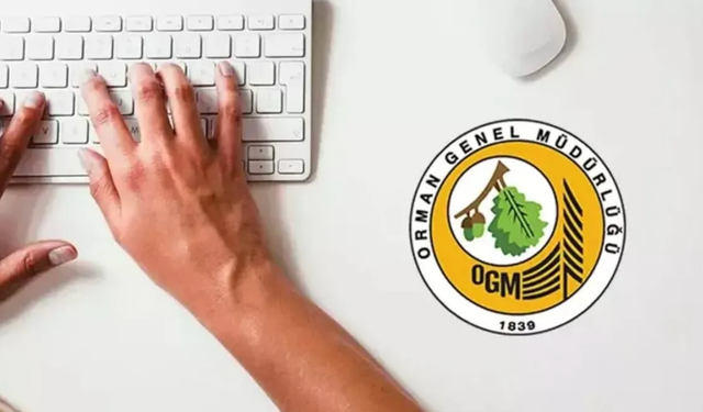 🌲 OGM 3.477 Personel Alımı Sonuçları İçin Geri Sayım Başladı!