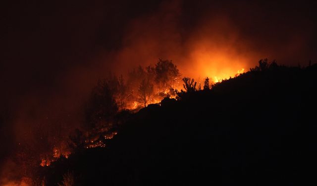 2 Günde 77 Orman Yangını: Bir Kıvılcımla Tüm Doğa Yandı