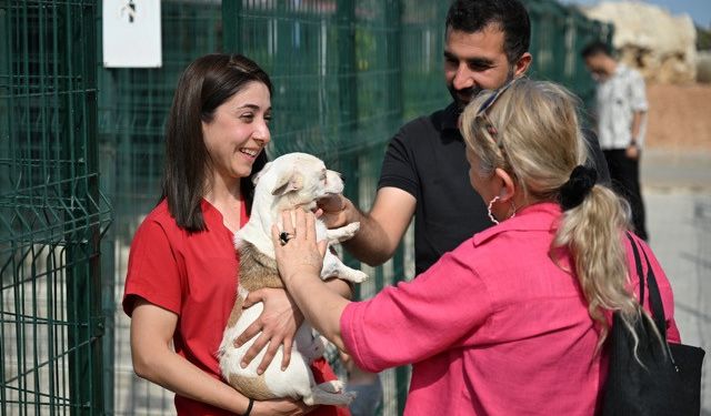 Mersin'de Hayvanseverlerin Yeni Buluşma Noktası: Patiköy'de 89 Can Yuvasına Kavuştu!
