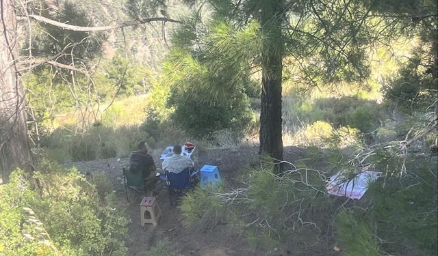 Mersin Erdemli’de Ormanda Piknik Yapan 4 Kişiye Ceza Kesildi