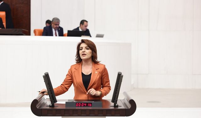 Vekil Kış’tan Sert Çıkış: “Sözde İklim Yasası Türkiye’ye İhanettir”