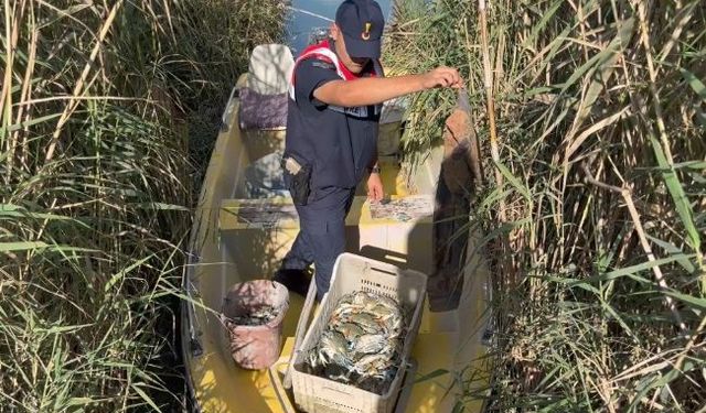 Göksu Deltası’nda Mavi Yengeç Avcıları Yakalandı