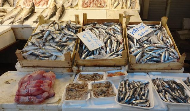Mersin’de Balıkta Bolluk: Fiyatlar Kasım Sonuna Kadar Uygun