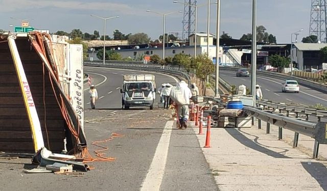 Mersin’de Kamyon Kaza Yaptı, Binlerce Arı Çevreye Saçıldı: 3 Yaralı