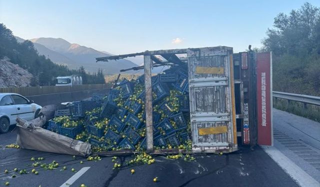 Tarsus’ta Narenciye Yüklü Kamyon Devrildi