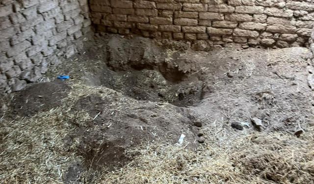 Kayıp” sanılıyordu, meğer kardeşi öldürüp gömmüş!