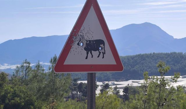 Bozyazı Yayla Yolunda Trafik Levhalarına Kurşunlu Saldırı