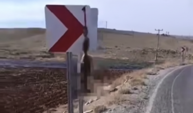 Silifke’de Vicdansızlık: Tilkiyi Öldürüp Trafik Levhasına Astılar