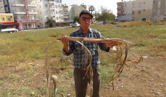 Mersin Silifke’nin Su Kahini: “Su Varsa Elektrik Çarpıyor”