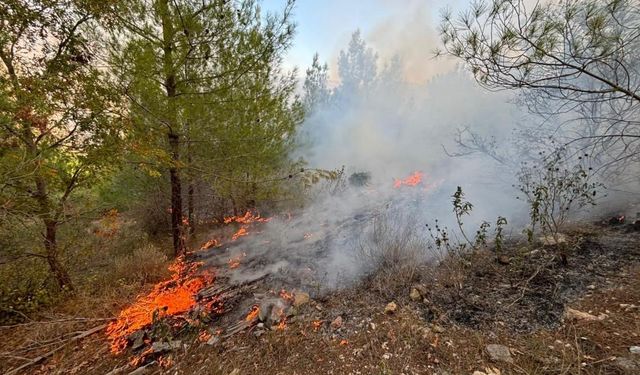 Mersin Bozyazı’da Orman Yangını Kontrol Altına Alındı