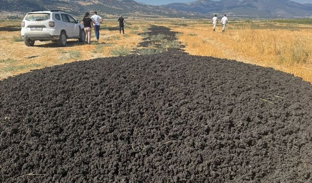 Antalya'daki arıtma çamurunu Burdur'a döken firmaya 48,6 milyon lira ceza