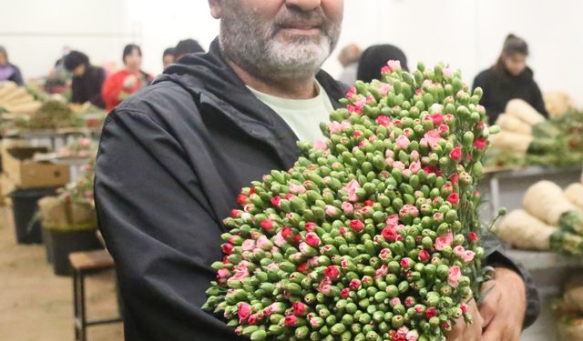 Çiçekte 10 aylık ihracat rekoru